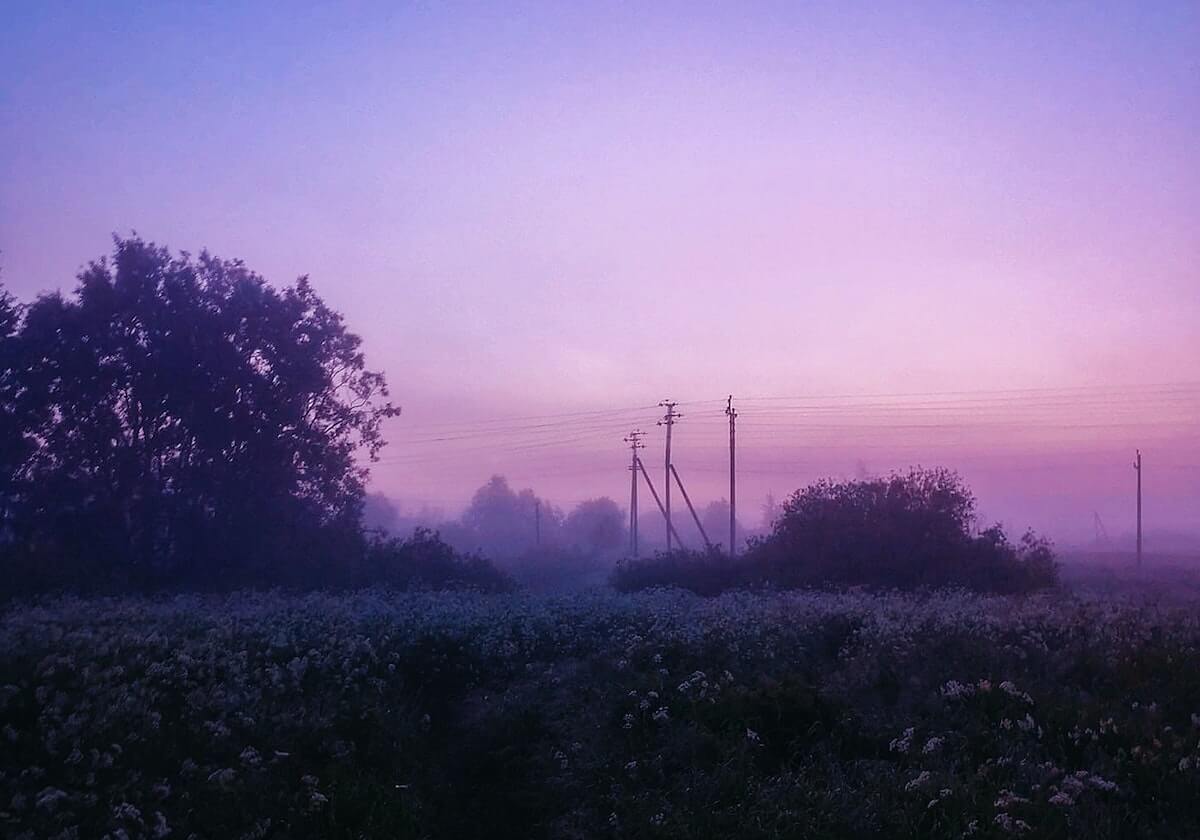 p站搬运工永久页稳定清晰度选择要点