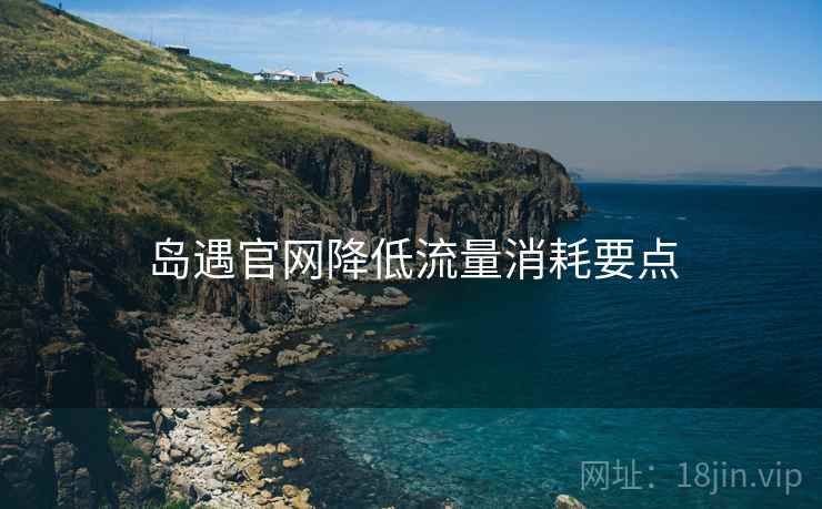 岛遇官网降低流量消耗要点 岛遇官网降低流量消耗要点