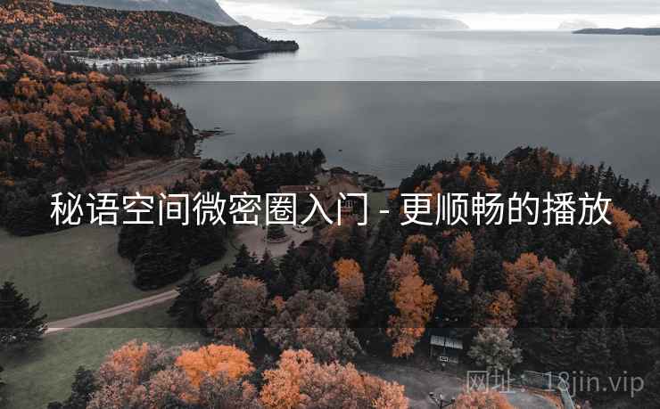 秘语空间微密圈入门 - 更顺畅的播放
