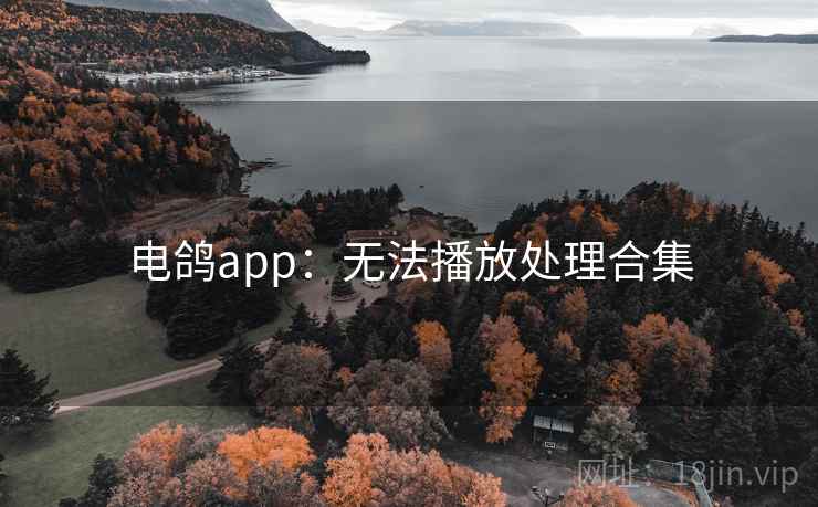 电鸽app:无法播放处理合集 电鸽app:无法播放处理合集