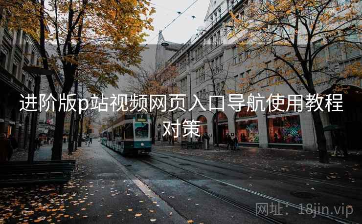 进阶版p站视频网页入口导航使用教程对策