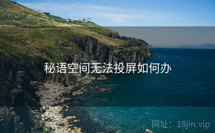 秘语空间无法投屏如何办 秘语空间无法投屏如何办