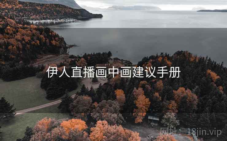 伊人直播画中画建议手册 伊人直播画中画建议手册