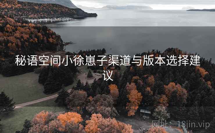 秘语空间小徐崽子渠道与版本选择建议
