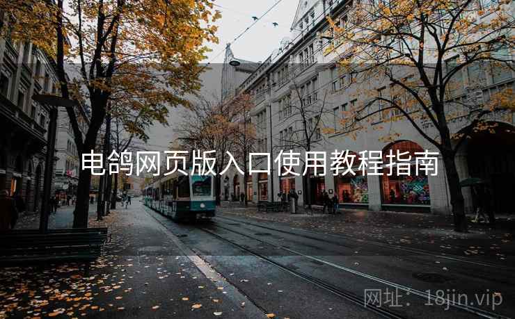 电鸽网页版入口使用教程指南