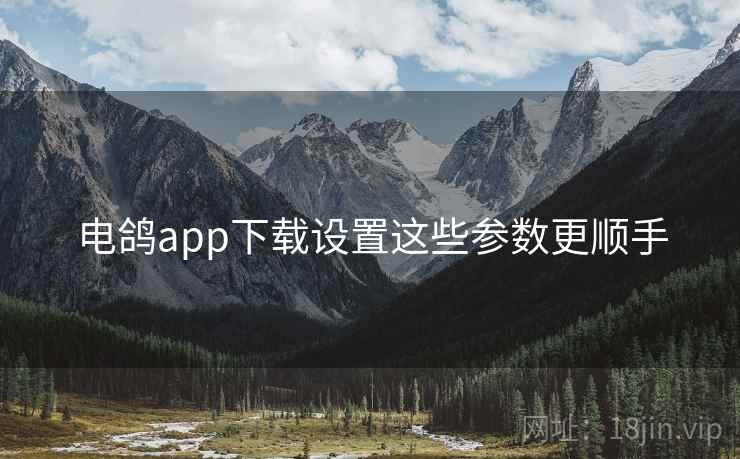 电鸽app下载设置这些参数更顺手 电鸽app下载设置这些参数更顺手
